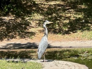 Lichtenberg Kolleg Abiturvorbereitung Biologieunterricht Einführungsphase Klasse 11 Ausflug